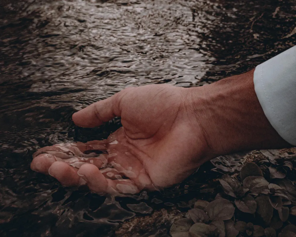 Gentle hand reaching into stream with river rocks representing nervous system regulation and anxiety therapy in Leesburg, VA - Wildwood Psychotherapy.